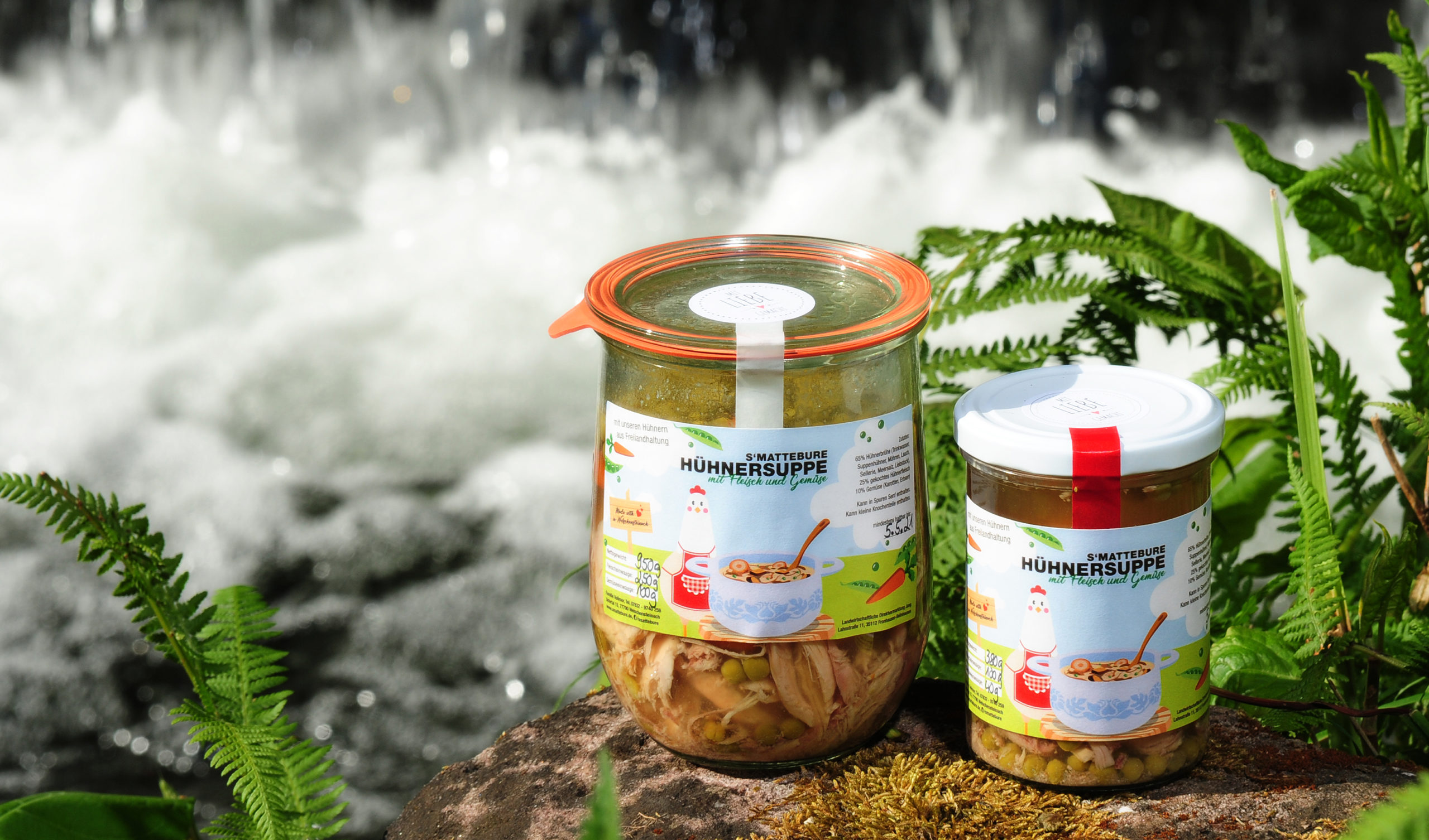 Vollmer_4315_Ausschnitt_bearb